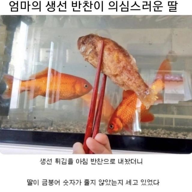 GsliwsbasAM-9Cy.jpg