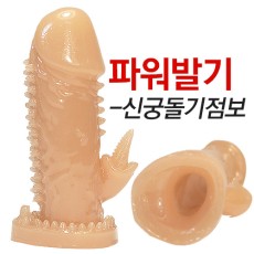 신궁돌기점보