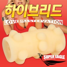 하이브리드