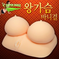 명기 왕가슴바니걸