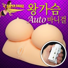 명기 왕가슴바니걸(자동)